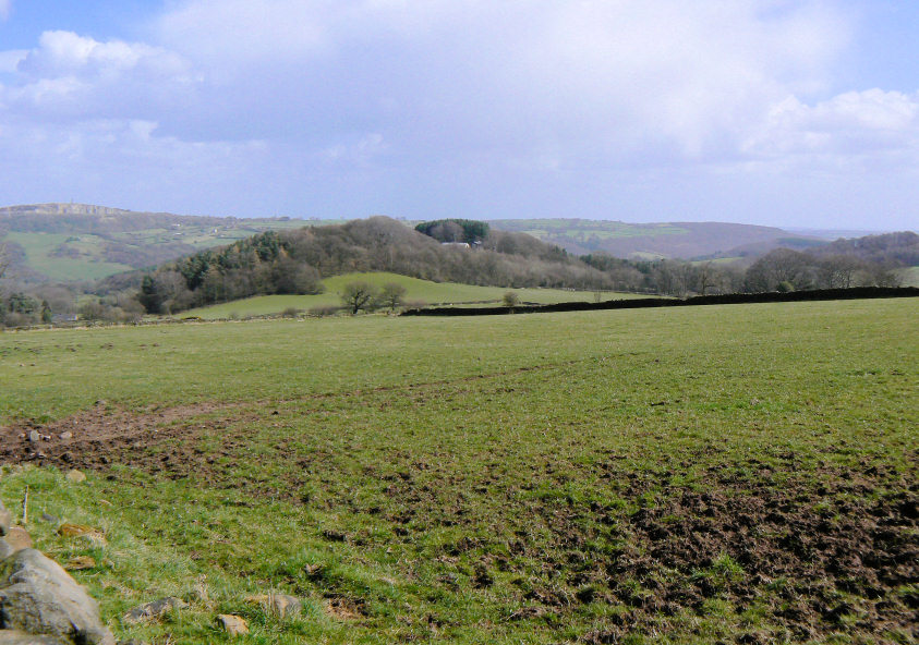Crich Crich